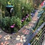 Easihold - liant pe baza apa pt. fixarea și protejarea pietrelor din grădina 5lit